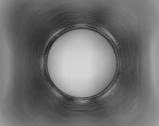 X0000112750831200908201011