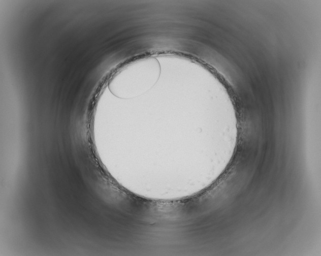 X0000112750832200908201011