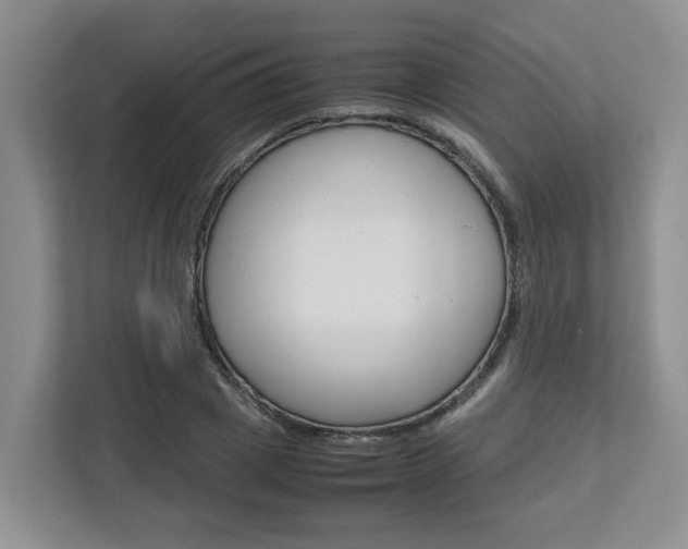 X0000112750833200908201011
