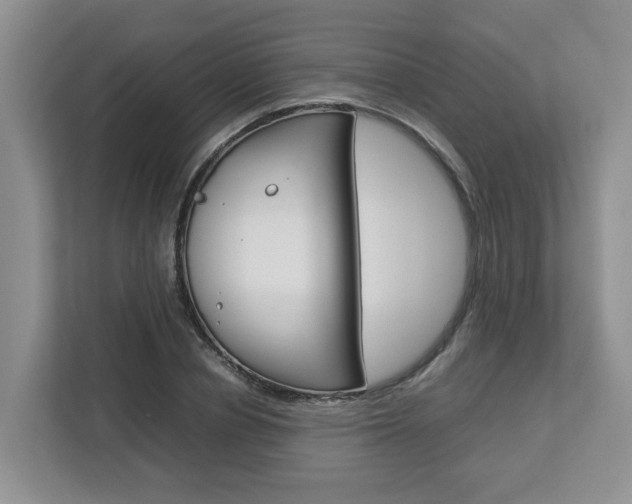 X0000112750834200908201011