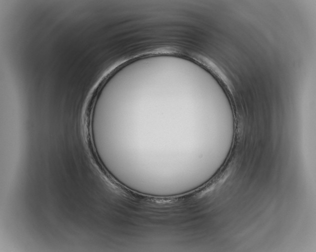 X0000112750835200908201011