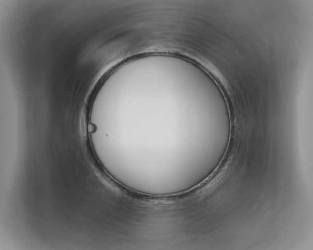 X0000112750838200908201011