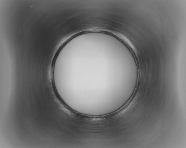X0000112750839200908201012