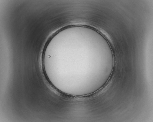 X0000112750840200908201012