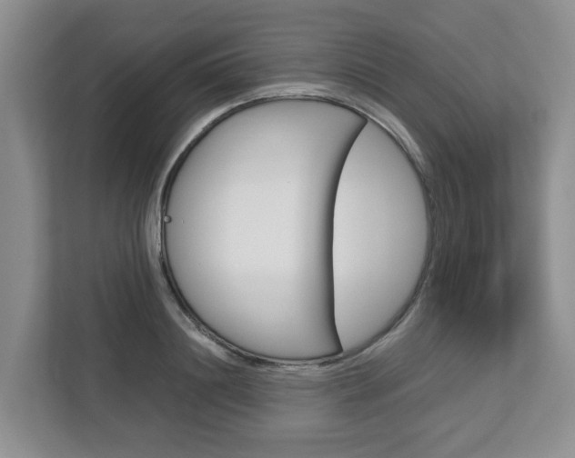 X0000112750844200908201012