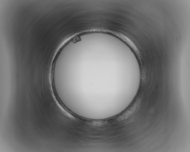 X0000112750847200908201012