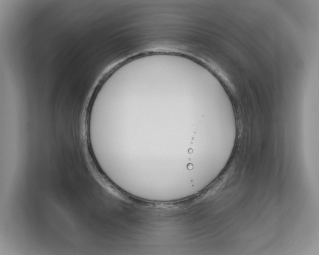 X0000112750848200908201012