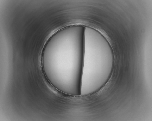X0000112750850200908201012