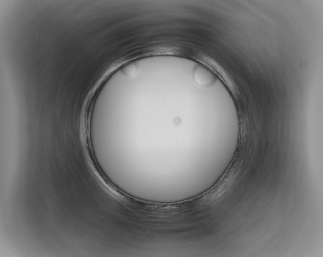 X0000112750851200908201012