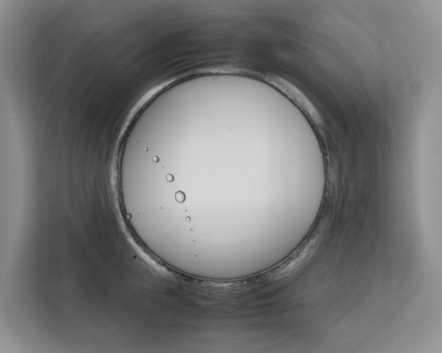 X0000112750855200908201012