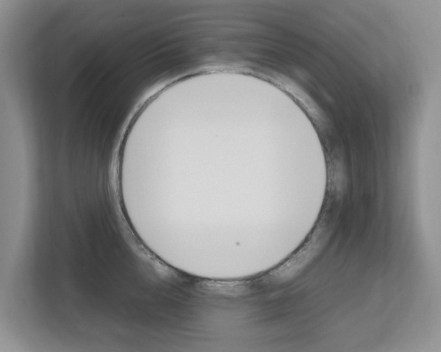 X0000112750856200908201012