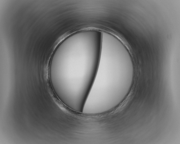 X0000112750858200908201012