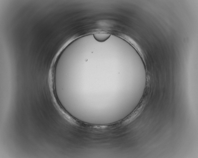X0000112750859200908201012