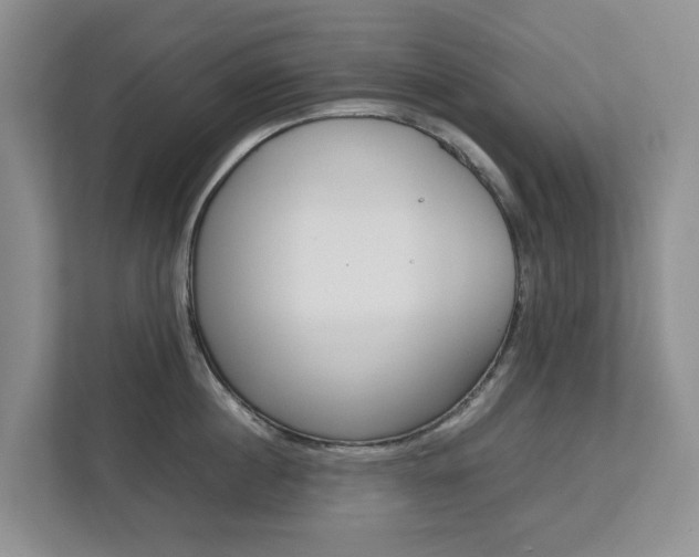 X0000112750860200908201012