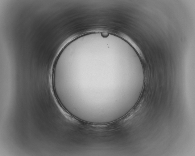 X0000112750861200908201012