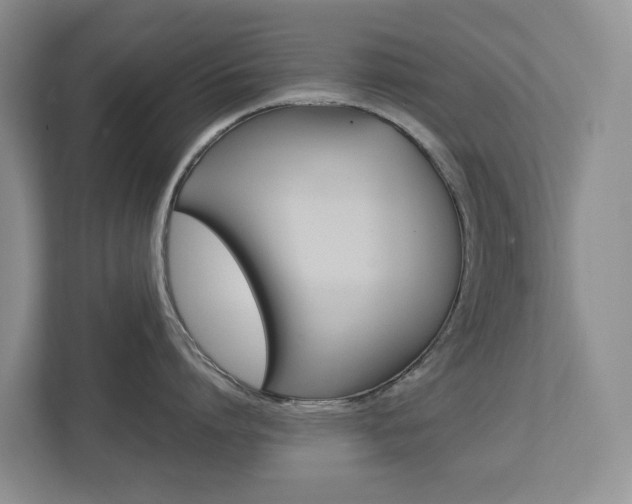 X0000112750864200908201012