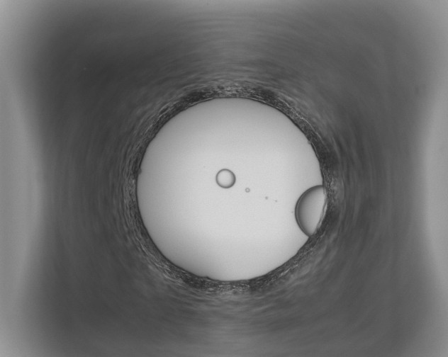 X0000112750865200908201011