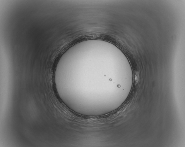 X0000112750867200908201011