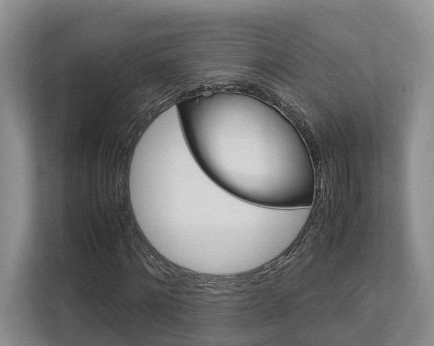 X0000112750868200908201011