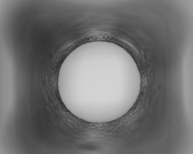 X0000112750869200908201011