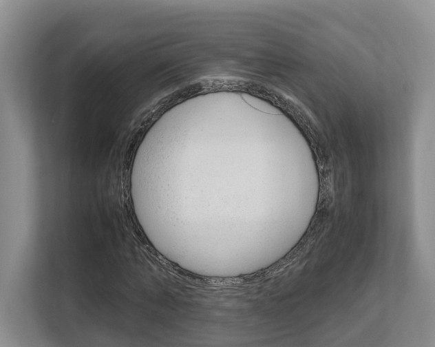 X0000112750870200908201011