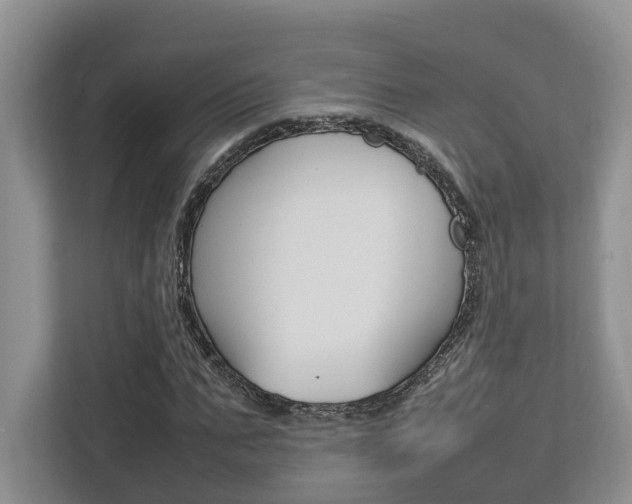 X0000112750871200908201011