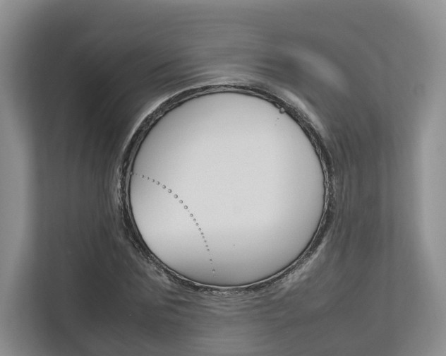 X0000112750875200908201011