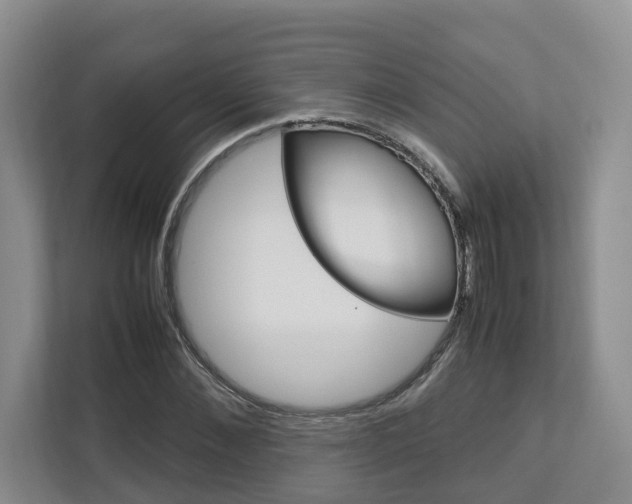 X0000112750876200908201011