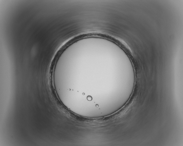 X0000112750879200908201011