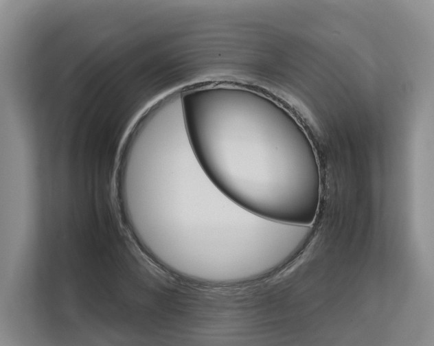 X0000112750880200908201011