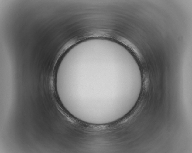 X0000112750882200908201011