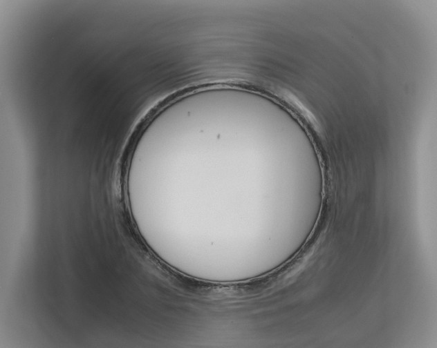 X0000112750883200908201011