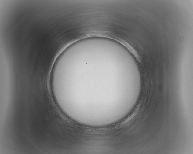 X0000112750885200908201011