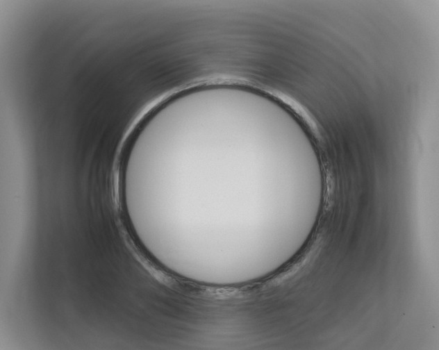 X0000112750886200908201011
