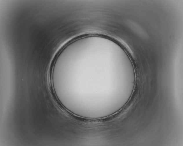 X0000112750887200908201011