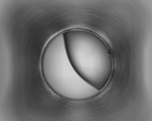 X0000112750888200908201011