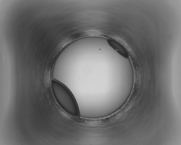 X0000112750889200908201011