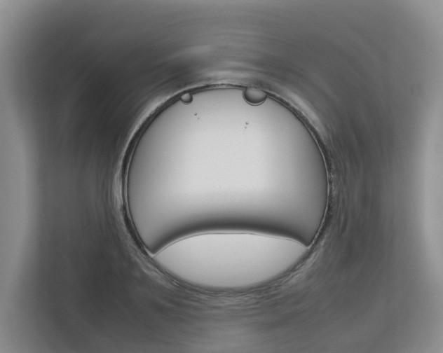 X0000112750891200908201011