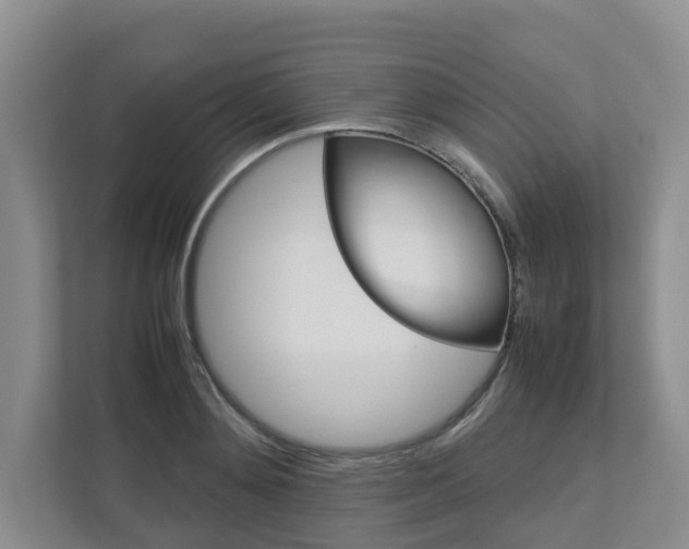 X0000112750892200908201011
