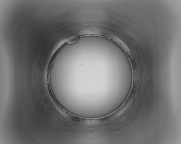 X0000112750893200908201011