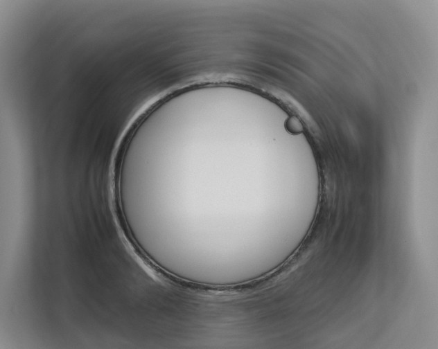 X0000112750894200908201011