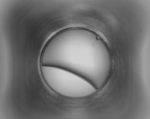 X0000112750895200908201011