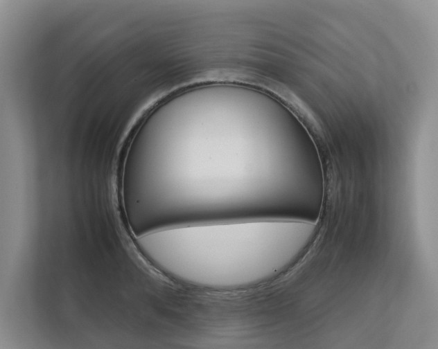 X0000112750896200908201011
