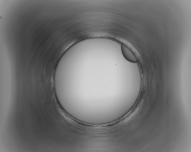 X0000112750897200908201011