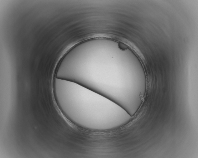 X0000112750898200908201011