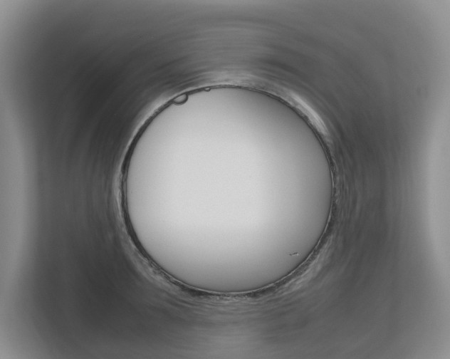 X0000112750899200908201011