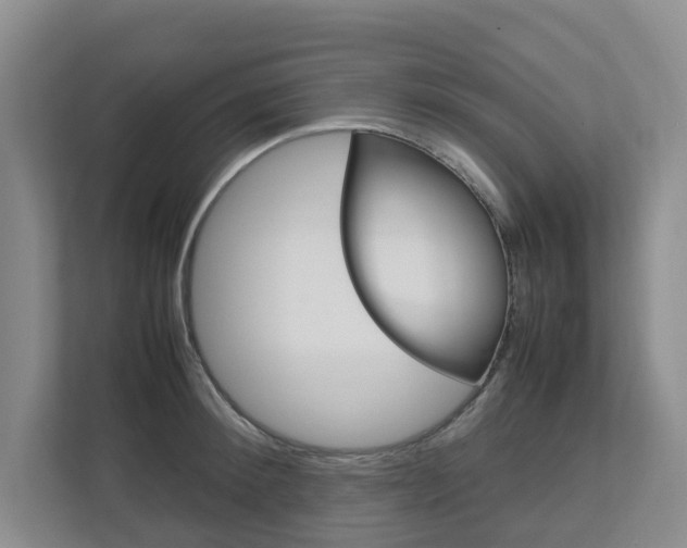 X0000112750900200908201011