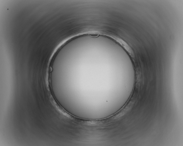 X0000112750904200908201011