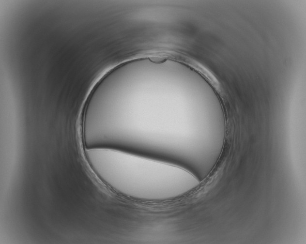 X0000112750907200908201011