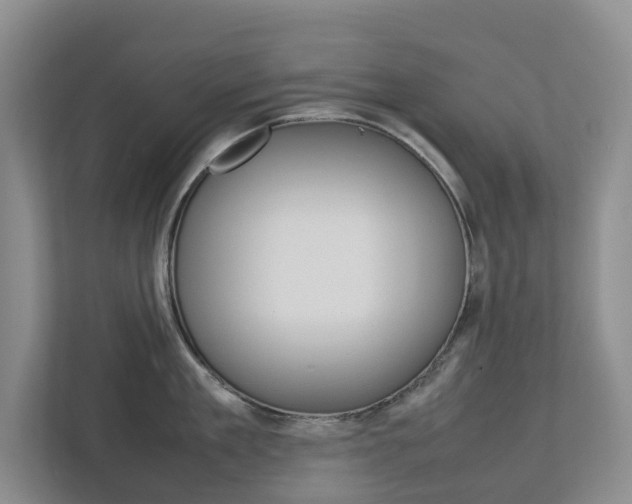 X0000112750909200908201011